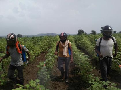 Now add pesticide helmet and spray | आता किटकनाशकांची हेल्मेट घालून फवारणी