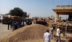 Washim: farmers not intrested to sell grains to 'Nafeed' | वाशिम: उधारीच्या व्यवहाराला कंटाळलेल्या शेतकऱ्यांची  ‘नाफेड’कडे पाठ!