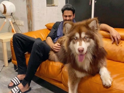 Prabhas clicks photo with Charmi Kaur's doggie, fans say - 'The real lion is behind' | प्रभासने चार्मी कौरच्या डॉगीसोबत क्लिक केला फोटो, चाहते म्हणाले - 'खरा सिंह तर मागे आहे'