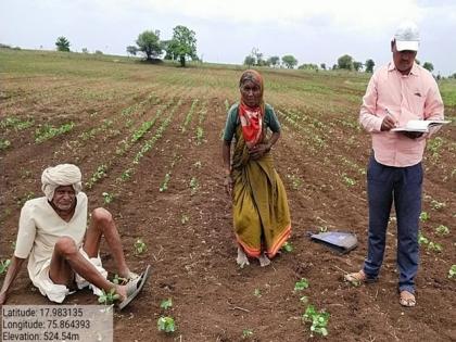 Lokmat Impact ... Agriculture officials reach 'farms doing 'double sowing' of solapur old ager farmer | लोकमत इम्पॅक्ट ! 'तो' व्हिडिओ पाहून आजी-आजोबांच्या शेतावर पोहोचले कृषी अधिकारी