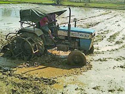 Summer grain cultivation on 21,000 hectares in the district | जिल्ह्यात २१ हजार हेक्टरवर उन्हाळी धानाची लागवड