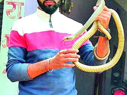 Sarpamitra Samit, who saved the lives of over two and a half thousand snakes | अडीच हजारावर सापांना जीवदान देणारा सर्पमित्र समित