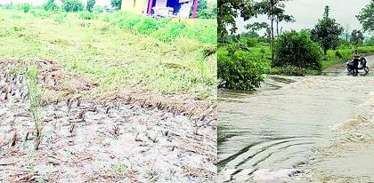 Heavy rains in 12 revenue circles in three talukas | तीन तालुक्यातील 12 महसूल मंडळात अतिवृष्टी