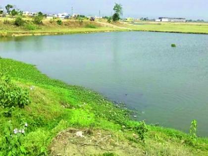 Beautification of the pond at original | मूल येथील तलावाचे होणार सौंदर्यीकरण