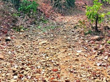 After 70 years Khadki Kollam got the road to Gudiya | ७० वर्षानंतर खडकी कोलाम गुड्याला मिळाला रस्ता