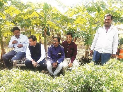 Guardian Minister interacted with farmers! | पालकमंत्र्यांनी साधला शेतकऱ्यांसोबत संवाद!