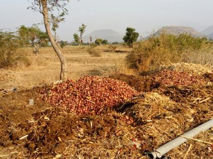 Onion shoots directly from the chawl | चाळीतून कांदा थेट उकीरड्यावर