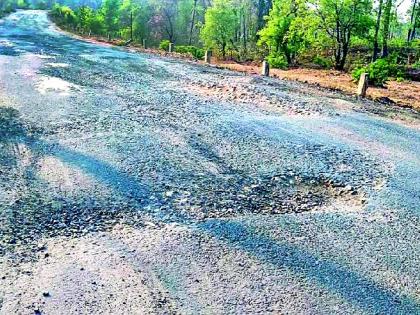  Sironcha-Patagunda road paved | सिरोंचा-पातागुडम मार्ग खड्डेमय