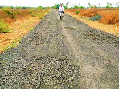 भेंडाळा-रामाळा मार्गाचे काम अपूर्ण