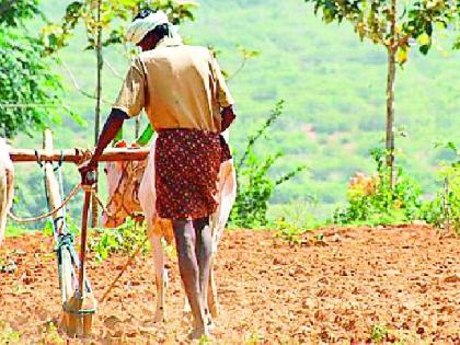 The start of the work of sowing started | पेरणीच्या कामाला जोमाने सुरुवात