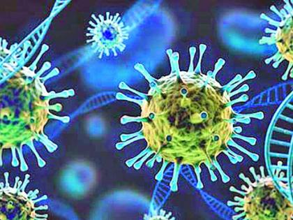 They both became patients of Delta Plus completely cured | डेल्टा प्लसचे ते दोन्ही रुग्ण झाले पूर्णपणे बरे They both became patients of Delta Plus completely cured | डेल्टा प्लसचे ते दोन्ही रुग्ण झाले पूर्णपणे बरे