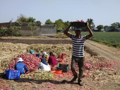 In the family cubicle house; Agricultural farming | कुटुंब कबिला घरात; शेतीकामे जोमात