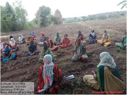 Start sowing in Chandwad taluka; The area under onion will increase to 16,000 hectares | चांंदवड तालुक्यात पेरण्यांना प्रारंभ; कांद्याचे १६ हजार हेक्टर क्षेत्र वाढणार