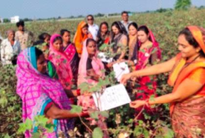 In such a hurry to ask for votes for the candidates, they went to the fields behind the voters | उमेदवारांना मत मागण्याची अशी घाई मतदारांच्या मागे शेताकडे निघाले पायी