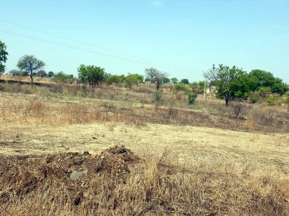 Parbhani: Adoption of village for rearing with plantation | परभणी : वृक्षारोपणासह संगोपनासाठी गाव घेतले दत्तक