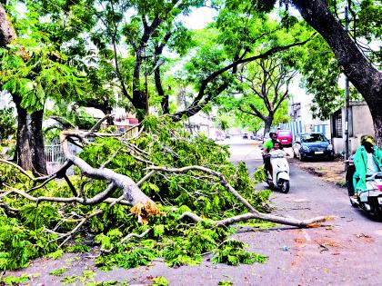 Sangli: The mahavitaran system was the first monsoon | सांगली : महावितरणची यंत्रणा पहिल्याच पावसाने ठप्प