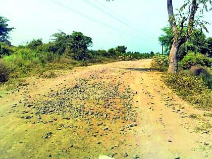 Bound next to the treefront tree | रस्त्याच्या दुतर्फा वृक्षारोपणाला बगल