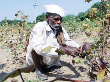 Problems of farmers exacerbated by Samrudhi Highway | समृद्धी महामार्गाच्या कामाने वाढविल्या शेतकऱ्यांच्या अडचणी