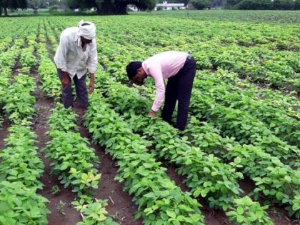 Accelerated intercropping with heavy rains | पावसाच्या दमदार आगमनाने आंतरमशागतीला वेग