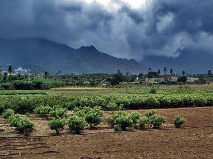 Agro-climatic rainfall measurement centers to be set up in 10 districts of the state | राज्यात १० जिल्ह्यात होणार कृषी हवामान पर्जन्य मापन केंद्रे