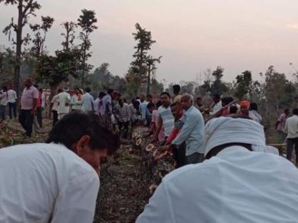 Gardev pulls up to 150 bullocks for Meghnath Yatra in Bhandara district | भंडारा जिल्ह्यात मेघनाथ यात्रेसाठी दीडशे बैलजोड्यांनी खेचून आणला गरदेव