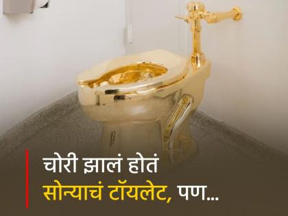 Gold toilet found theft in 2019 worth 50 crore in UK four people charged | प्लॅनिंग करून चोरी केलं सोन्याचं टॉयलेट, पण त्यानंतर जे झालं ते इंटरेस्टींग आहे!