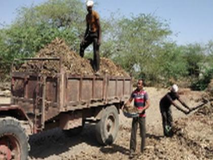  Due to drought, the prices of organic fertilizers have declined | दुष्काळामुळे सेंद्रीय खताचे भाव घसरले