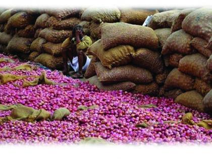 Keep this year's onion carefully; From two thousand to five hundred seeds, the area also decreased! | यंदाचाच कांदा ठेवा जपून; बियाणे दोन हजारांवरून पाचशेवर, क्षेत्रही घटले !