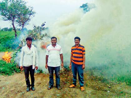 Trees for rain | पावसासाठी झाडपत्तीचा धूर Trees for rain | पावसासाठी झाडपत्तीचा धूर