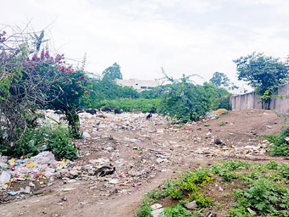 The river became dumping yard | नदीपात्र झाले डंपिंग यार्ड