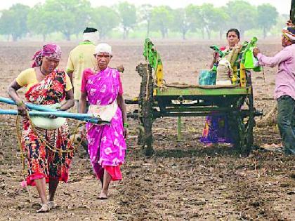 On the threshold of the monsoon district | मान्सून जिल्ह्याच्या उंबरठ्यावर