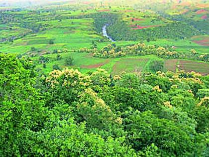 The lowest rainfall in the paradise | नंदनवनात सर्वांत कमी पाऊस