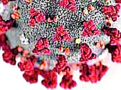 Hirulpurna's Mileka defeats Corona | हिरूळपूर्णाच्या मायलेकाची कोरोनावर मात Hirulpurna's Mileka defeats Corona | हिरूळपूर्णाच्या मायलेकाची कोरोनावर मात