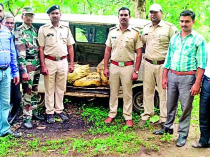 Magnizen filled the vehicle seized | मॅग्निजने भरलेले वाहन जप्त