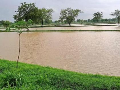 Warning of heavy rains in Vidarbha again; For the first time in 50 years | विदर्भात पुन्हा अतिवृष्टीचा इशारा; ५० वर्षांत प्रथमच अशी पूरस्थिती