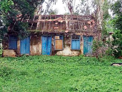 Government can get 100 acres of land | शासनाची शंभर एकर जमीन पडीत