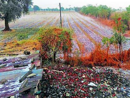 Windy rain, hailstorm | वादळी पाऊस, गारपिटीचा तडाखा