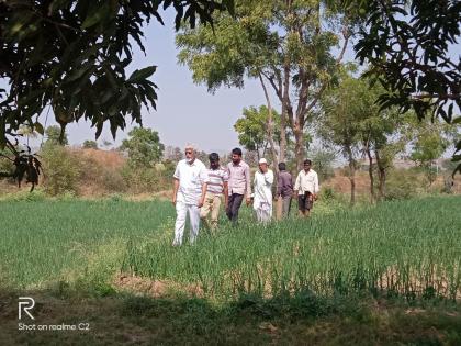 Agriculture Minister reached farmers' dam | कृषिमंत्री पोहोचले शेतकऱ्यांच्या बांधावर