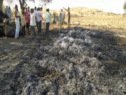In the village of Babulwadi, the fire broke out in the mule, the animals fluttered | बाभुळवाडीत गोठ्याला आग, जनावरे होरपळली In the village of Babulwadi, the fire broke out in the mule, the animals fluttered | बाभुळवाडीत गोठ्याला आग, जनावरे होरपळली