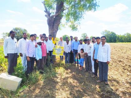 Review meeting at the Wudad Regarding Integrated Control of Chickenpox in Sugarcane Crops | ऊस पिकांमधील हुमणी किडीचे एकात्मिक नियंत्रण बाबत वाकद येथे आढावा बैठक