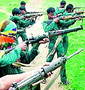 During the last year, 19 Naxalites were attacked | मागील वर्षभरात १९ नक्षलवाद्यांना कंठस्नान