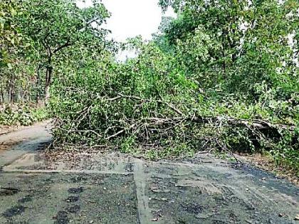 The rain erupted in the district | जिल्ह्यात पावसाचा कहर सुरूच