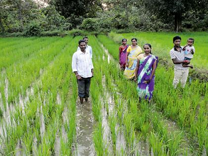  'Saguna' technology will be boasted | ‘सगुणा’ तंत्रज्ञान ठरणार वरदान