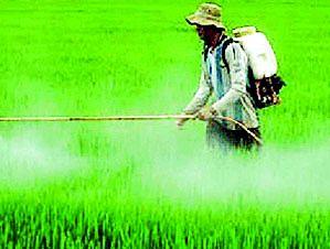  The sale of banned insecticides continues | बंदी असलेल्या कीटकनाशकांची विक्री सुरूच