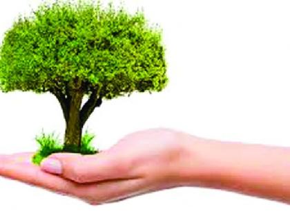 Waiting for administrative approval for tree plantation program | वृक्ष लागवड कार्यक्रमाला प्रशासकीय मंजुरीची प्रतीक्षा