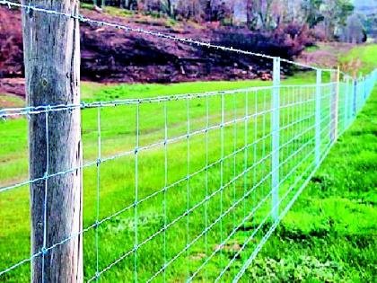 The fencing in the fencing is not allowed | कुंपणात वीज प्रवाह सोडणाऱ्यांची गय नाही