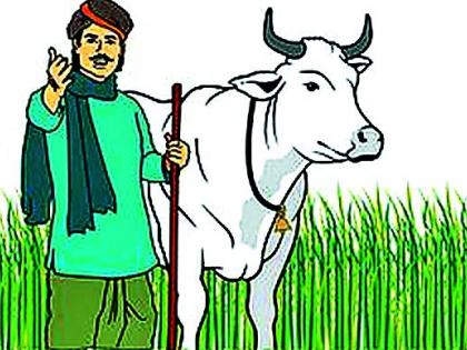 There are 46,000 farmers in the district on green list | ग्रीन यादीत जिल्ह्यातील ४६ हजार शेतकरी