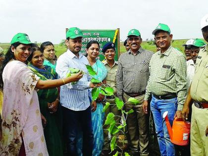 Peoples Movement requires creation of forests - Sanjay Kute | वनराई निर्माण करण्यासाठी जनचळवळ आवश्यक - संजय कुटे