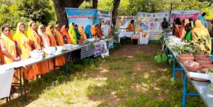 63 legumes in the legume festival | रानभाजी महोत्सवात ६३ रानभाज्या 63 legumes in the legume festival | रानभाजी महोत्सवात ६३ रानभाज्या