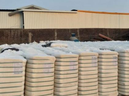 Buy 3 thousand quintals of cotton in three days at Shahada CCI Center | शहादा सीसीआय केंद्रात तीन दिवसात २५ हजार क्विंटल कापूस खरेदी Buy 3 thousand quintals of cotton in three days at Shahada CCI Center | शहादा सीसीआय केंद्रात तीन दिवसात २५ हजार क्विंटल कापूस खरेदी